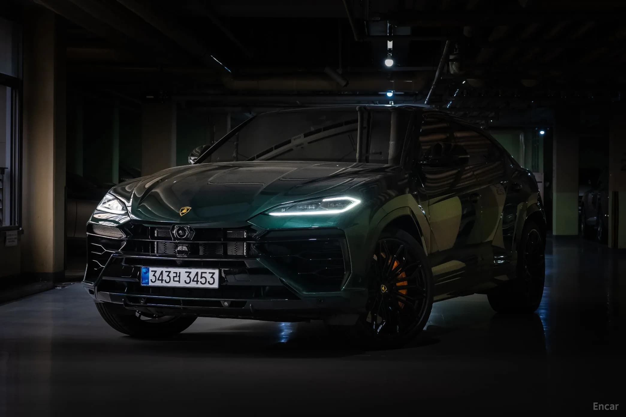 Urus