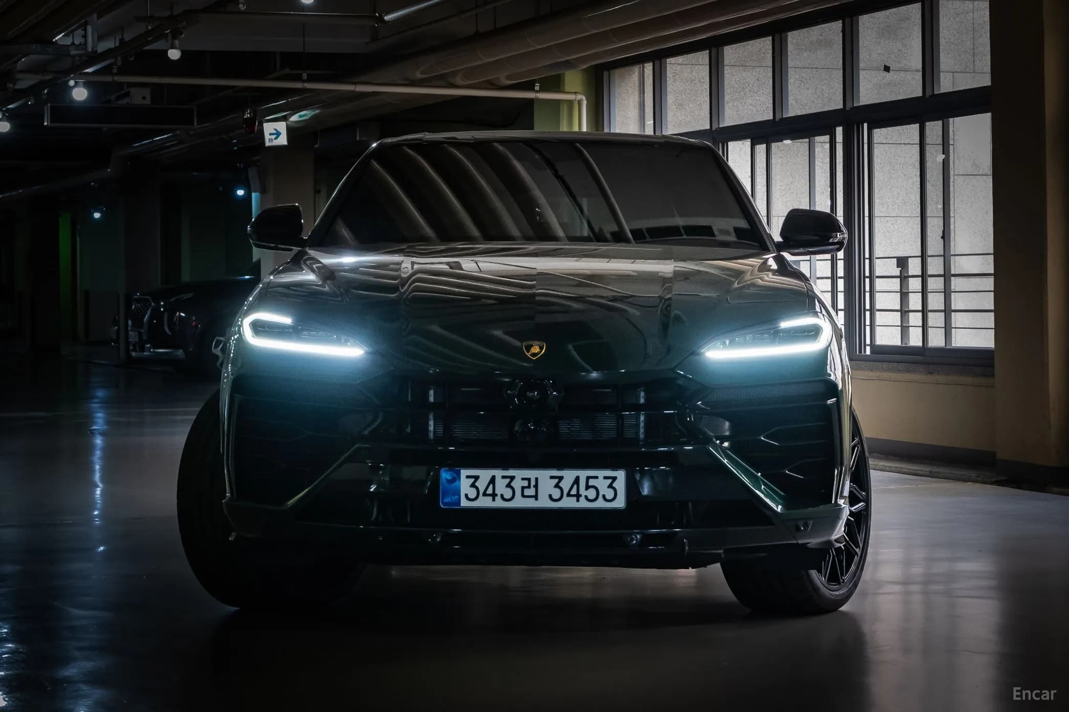 Urus