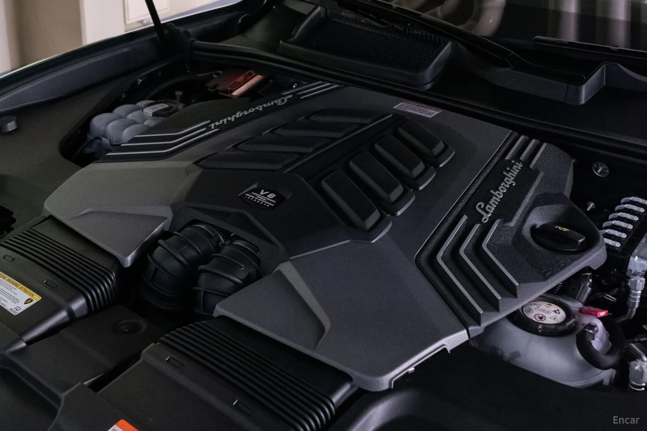 Urus