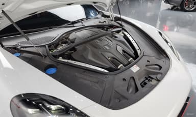 Panamera (971)