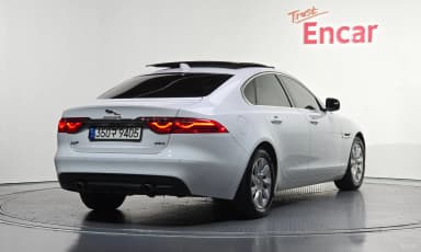XF (x260)