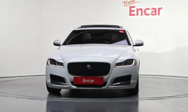 XF (x260)
