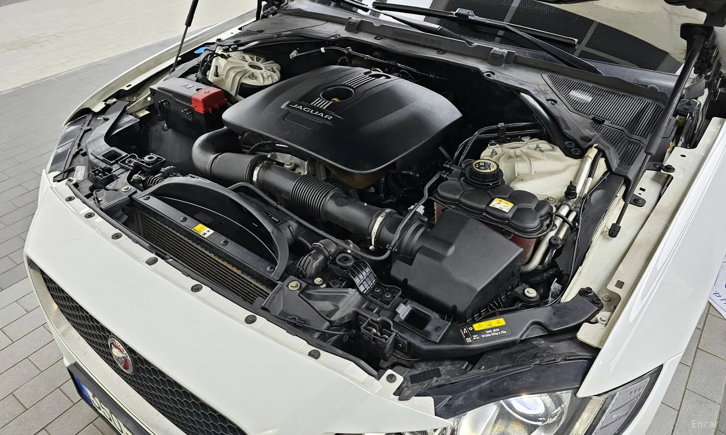XF (x260)