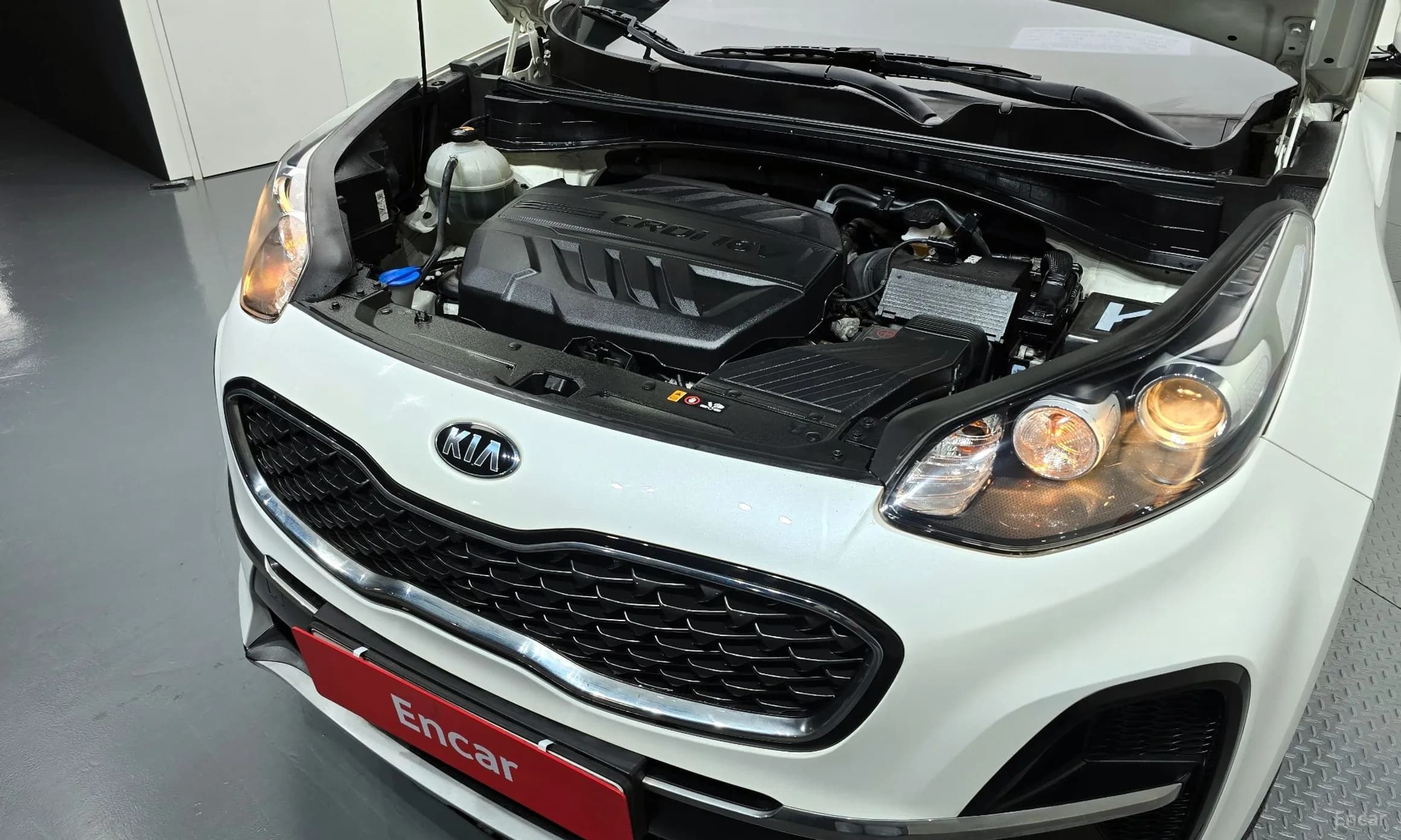 Sportage The Bold