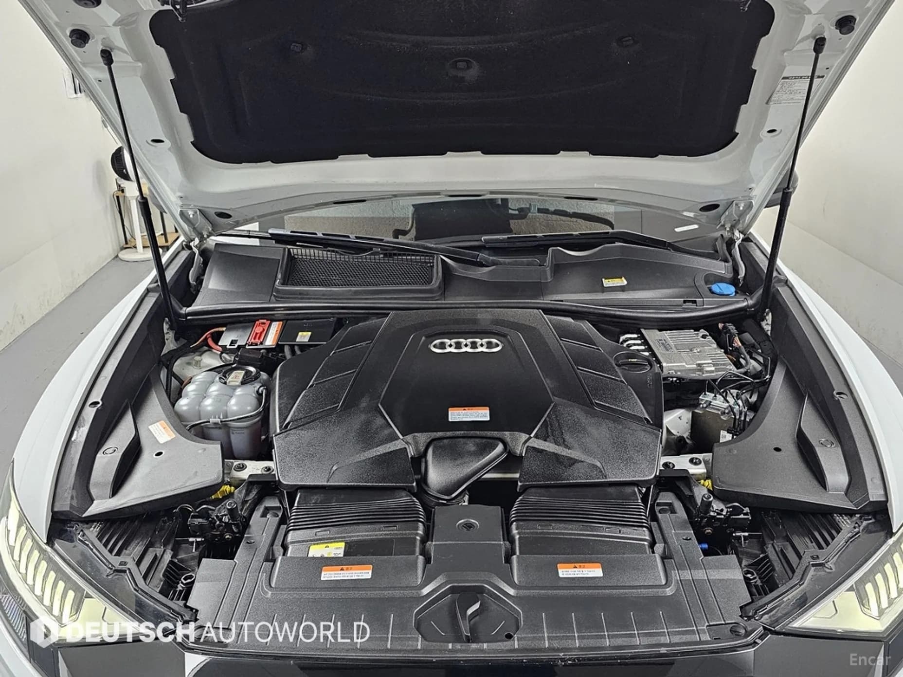 Q8 (4M)