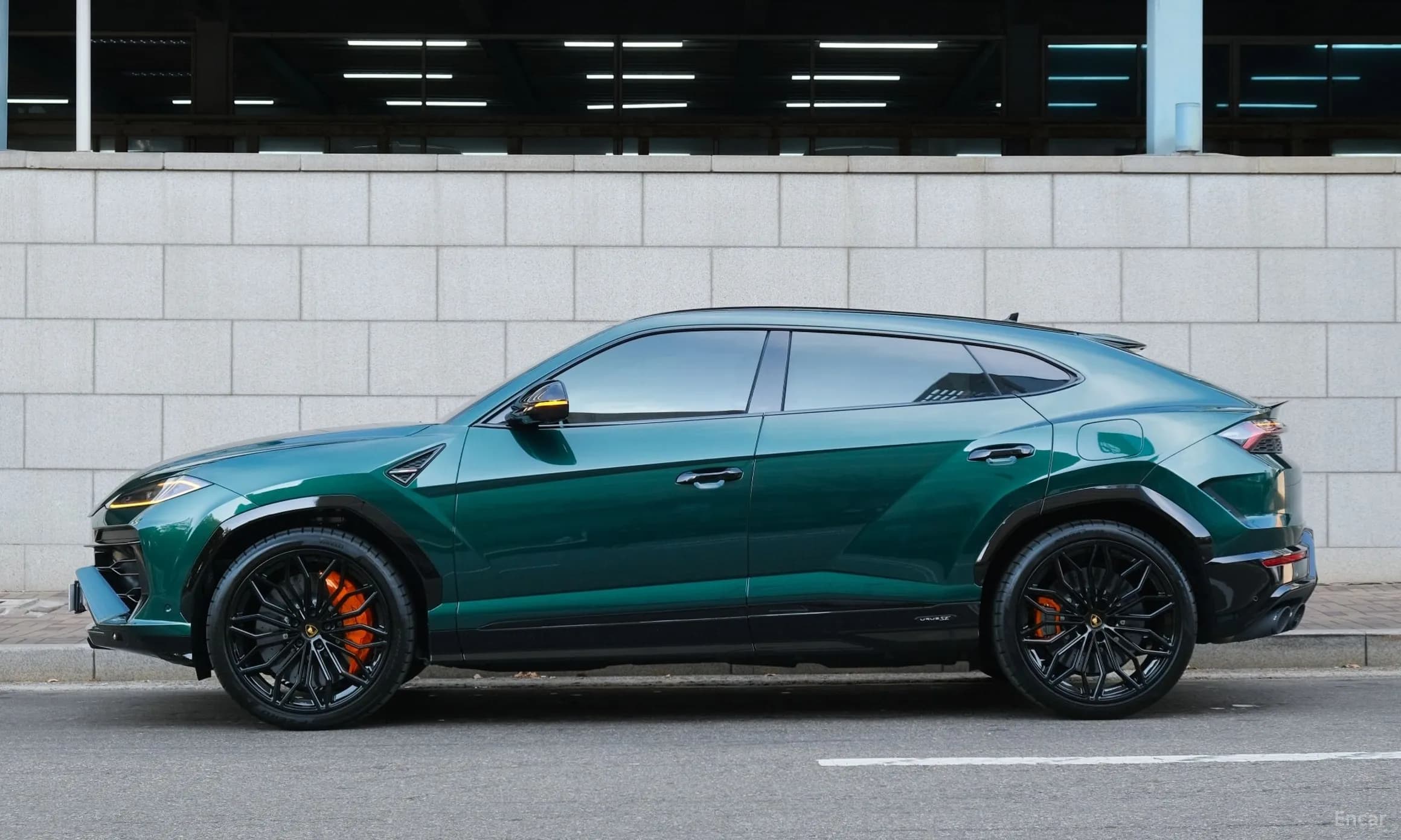 Urus