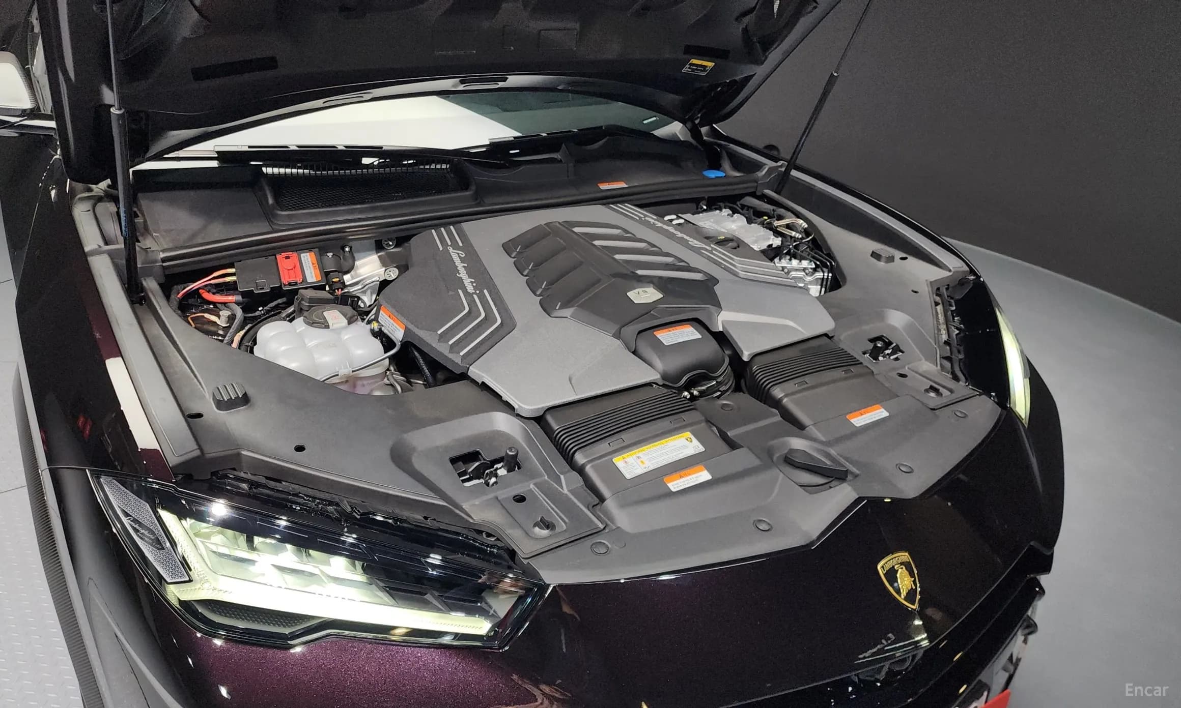 Urus