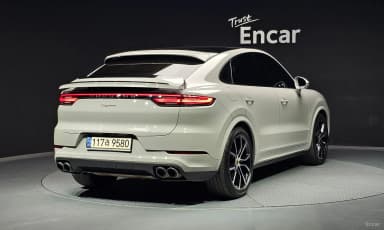 Cayenne (PO536)