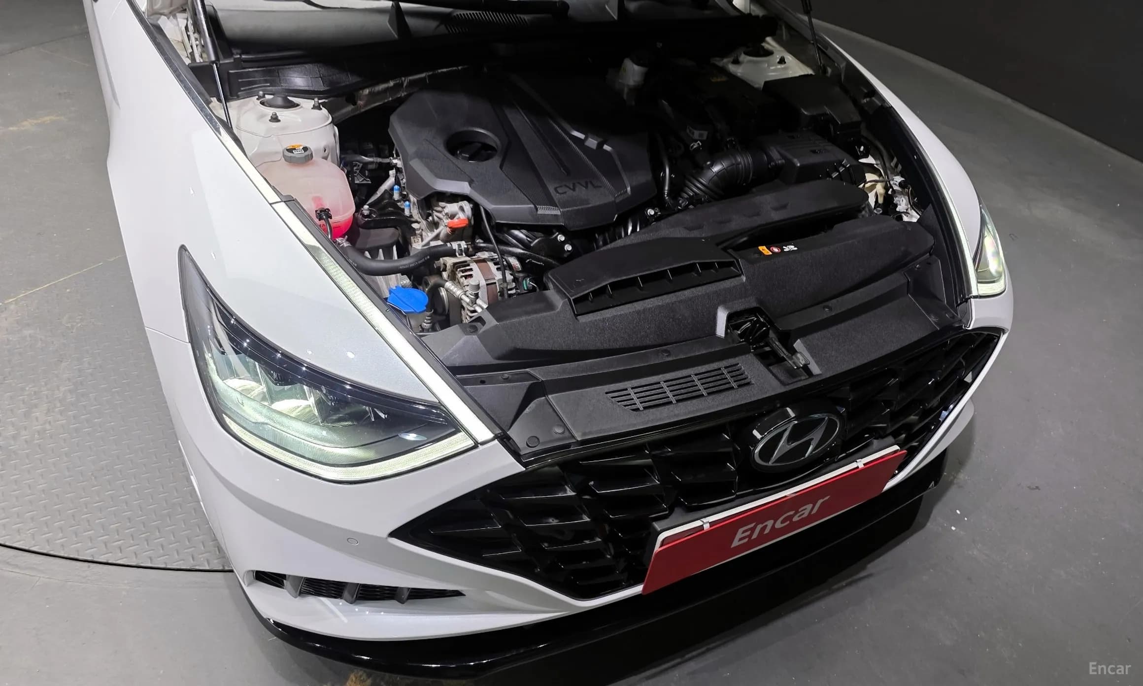 Sonata (DN8)