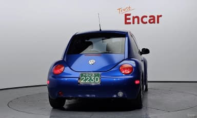 New Beetle