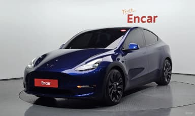 Model Y