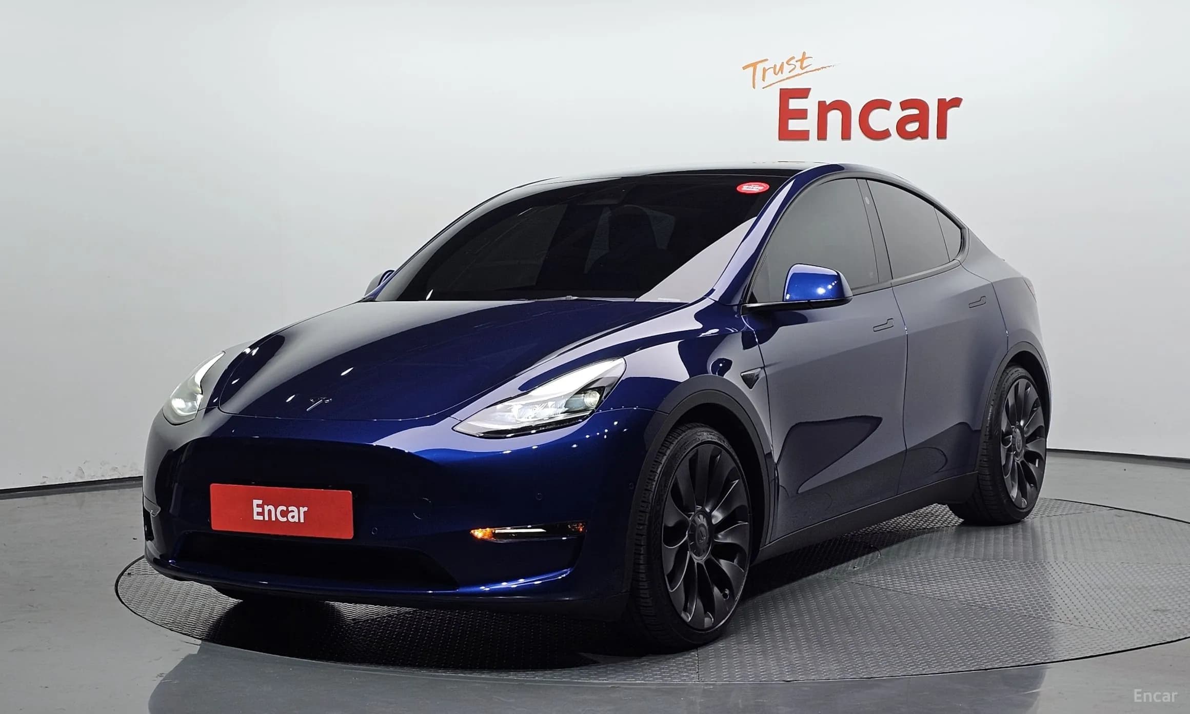 Model Y