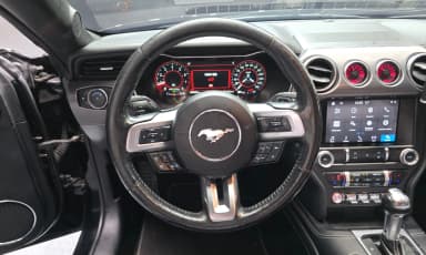 Mustang