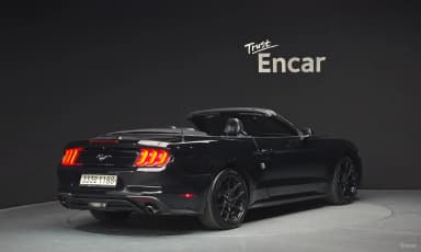 Mustang