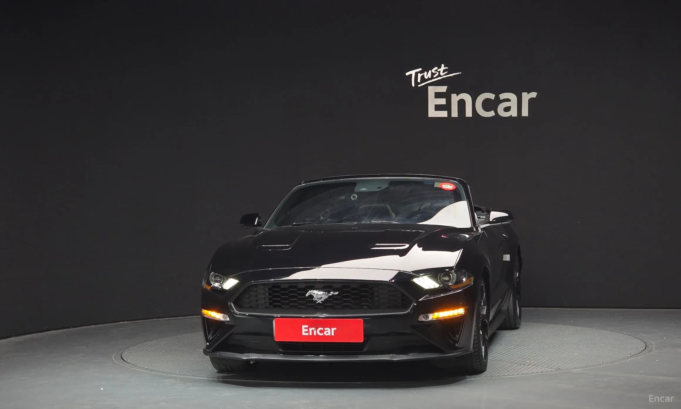 Mustang