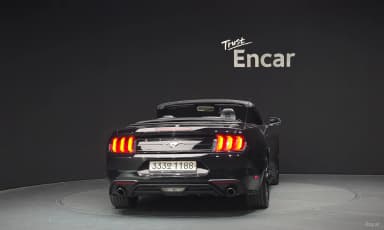 Mustang