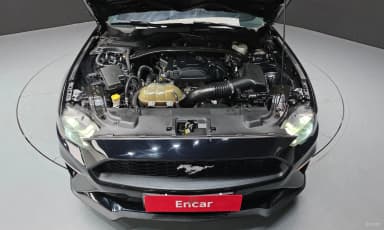 Mustang