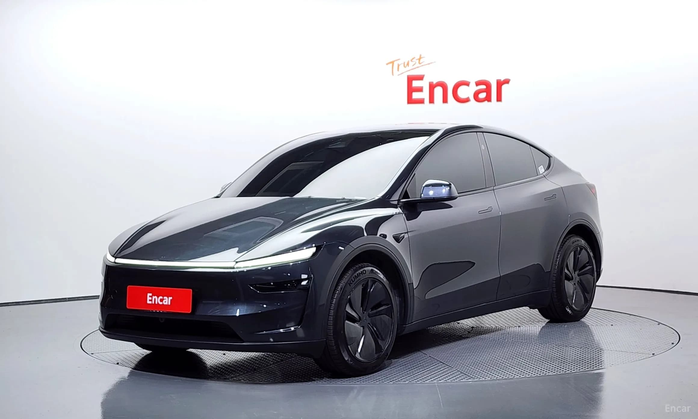 Model Y