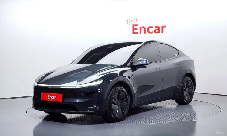 Model Y