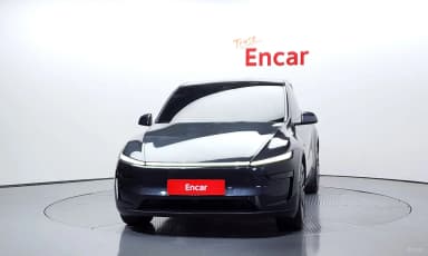 Model Y