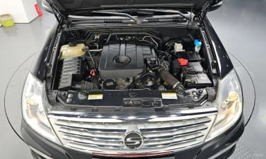 Rexton W