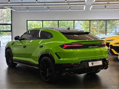 Urus