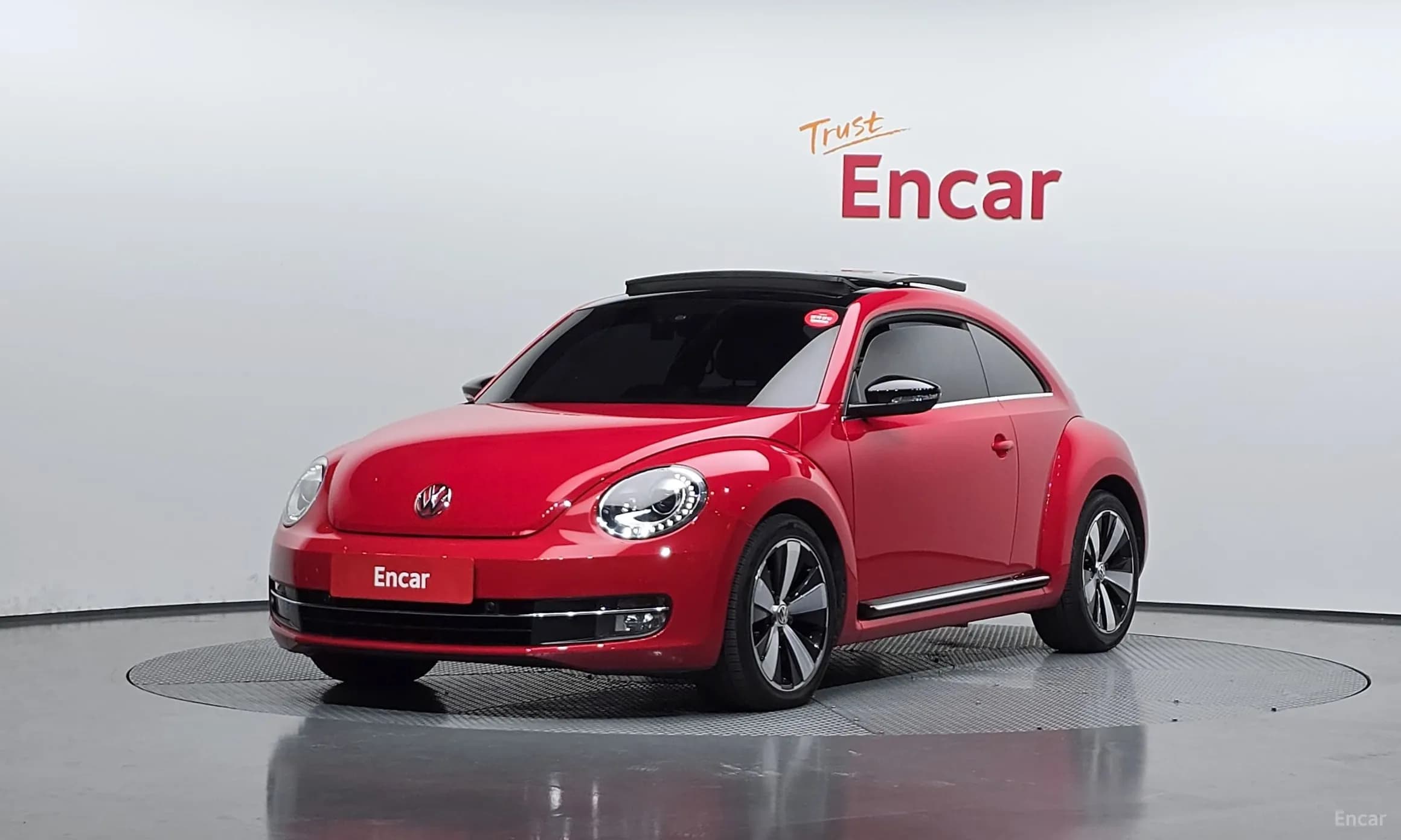 The Beetle