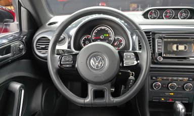 The Beetle