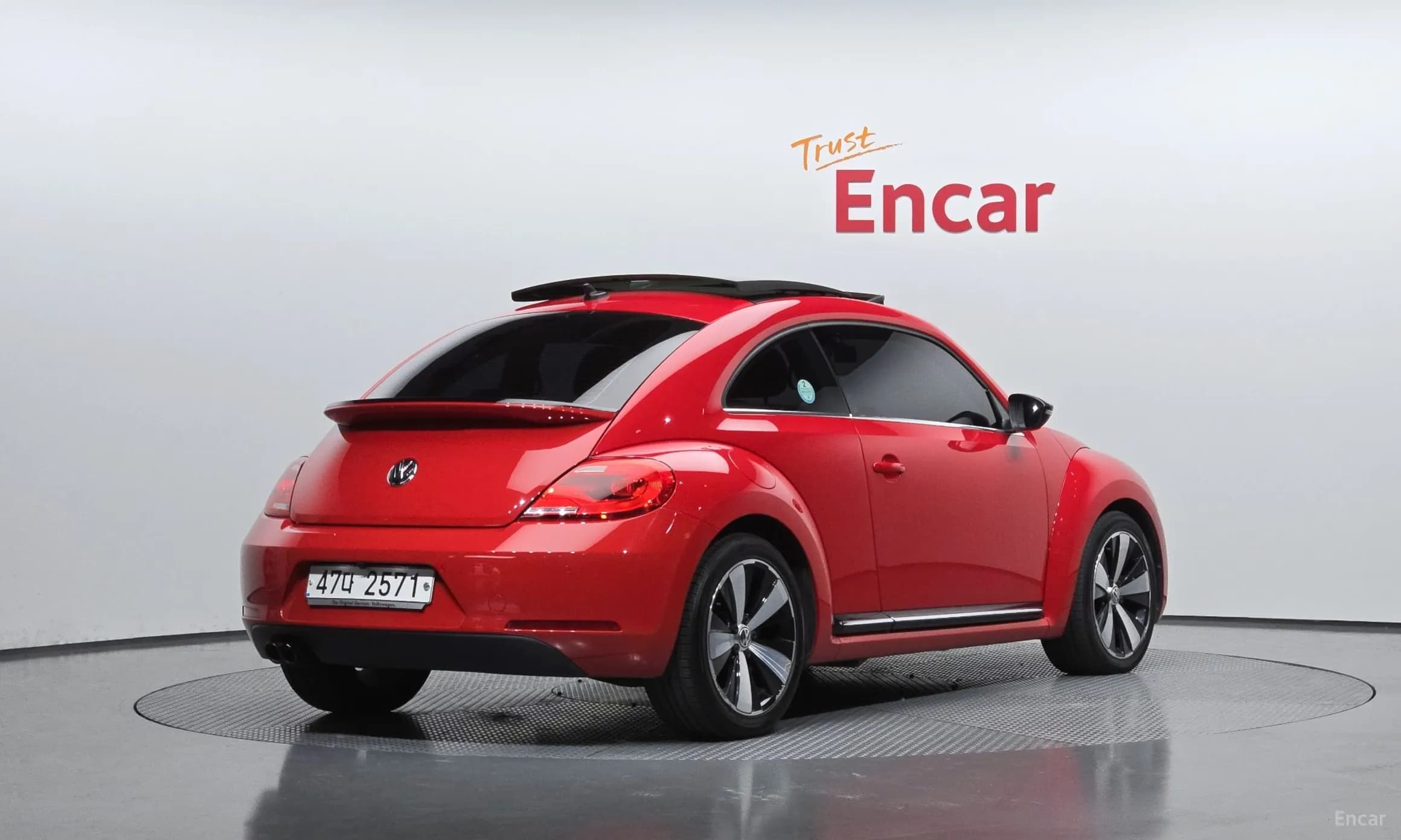 The Beetle