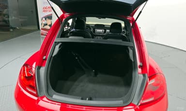 The Beetle