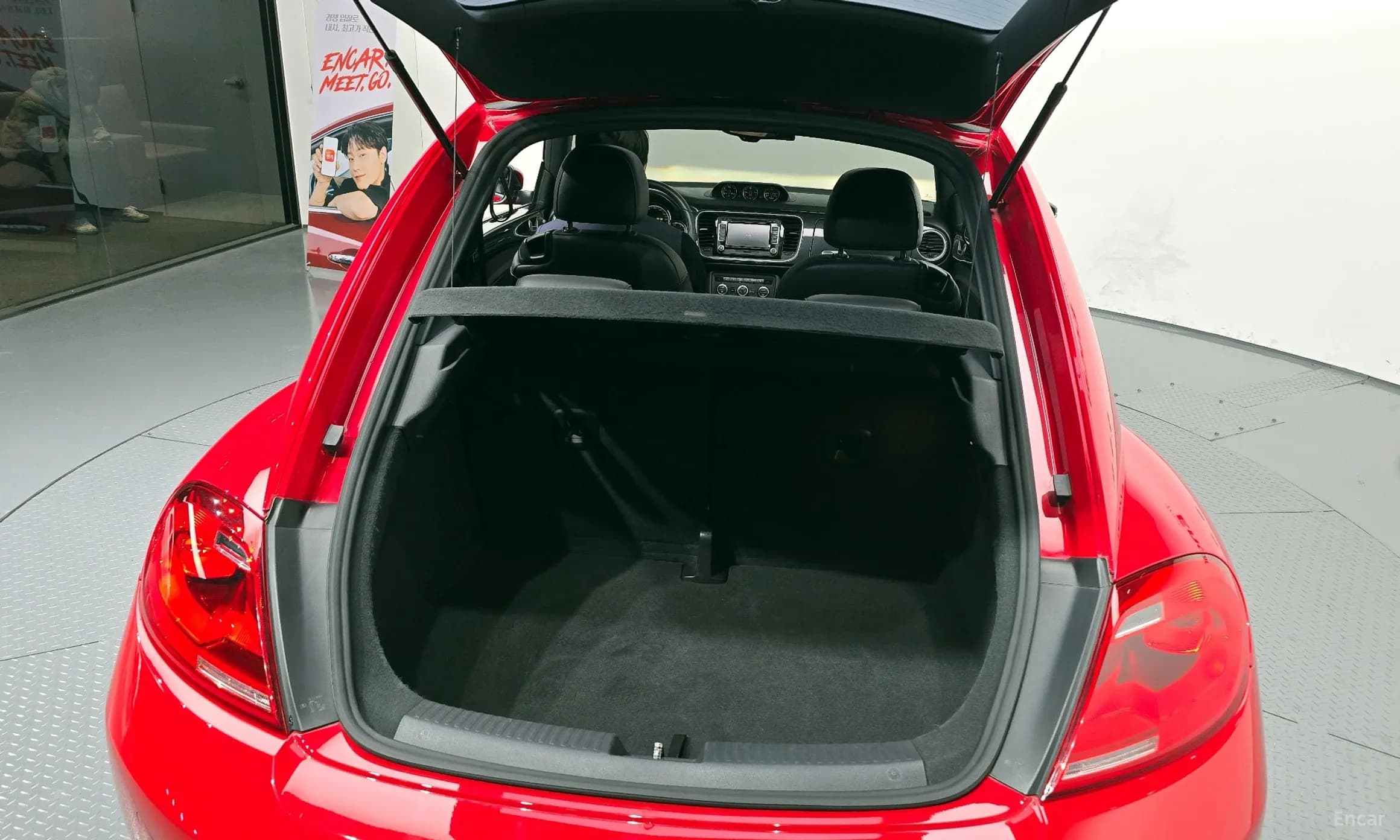 The Beetle