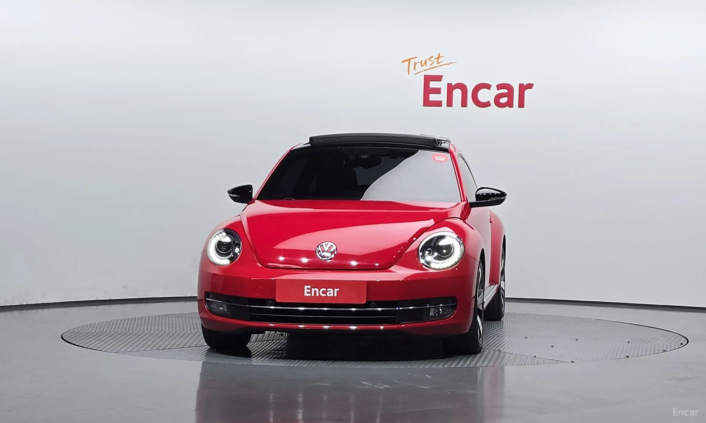 The Beetle