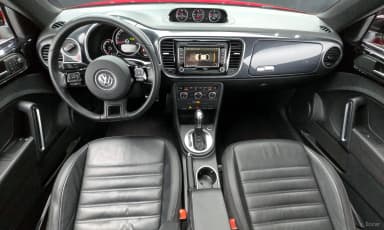 The Beetle