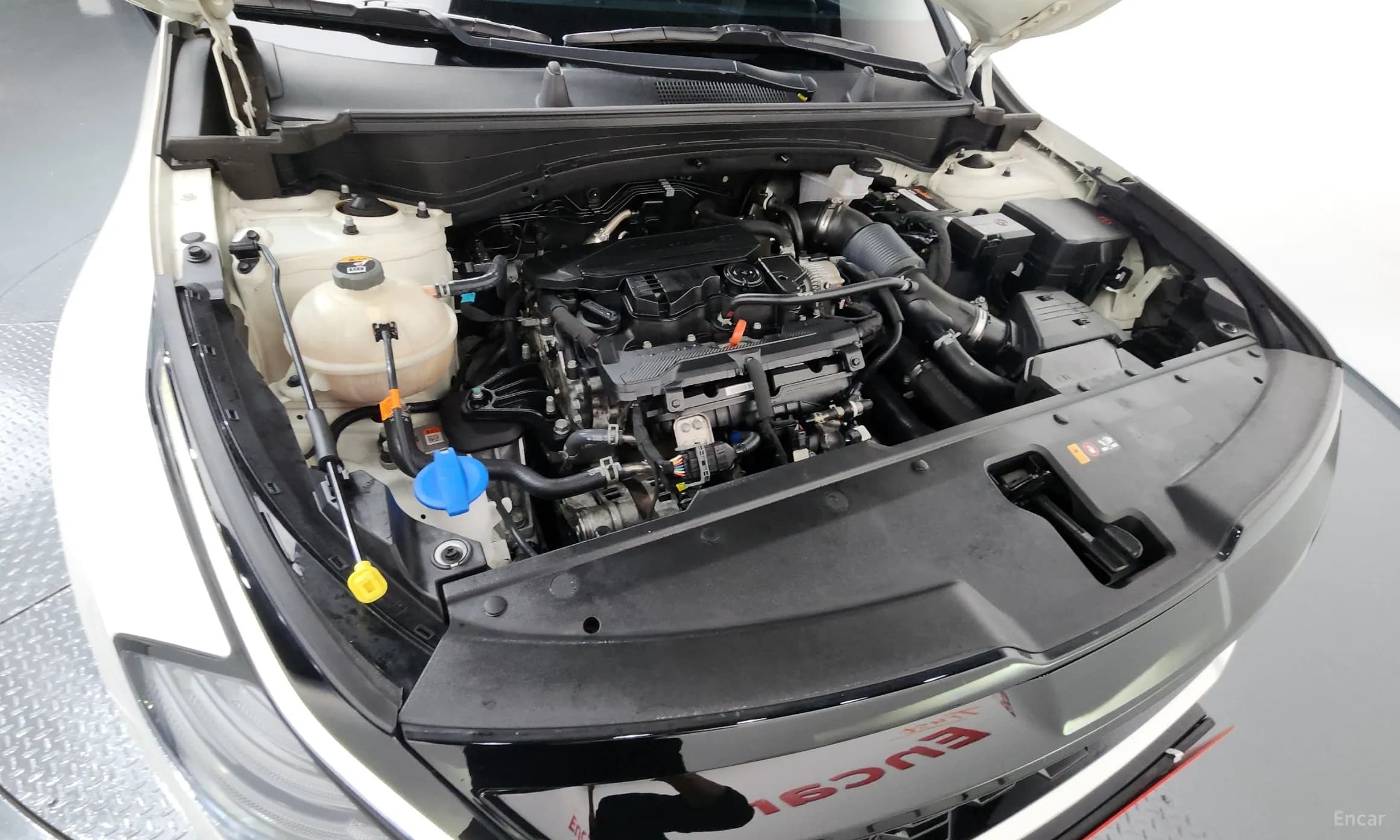 Sportage 5th Generation
