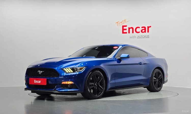 Mustang