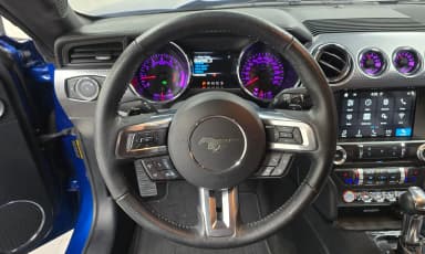 Mustang