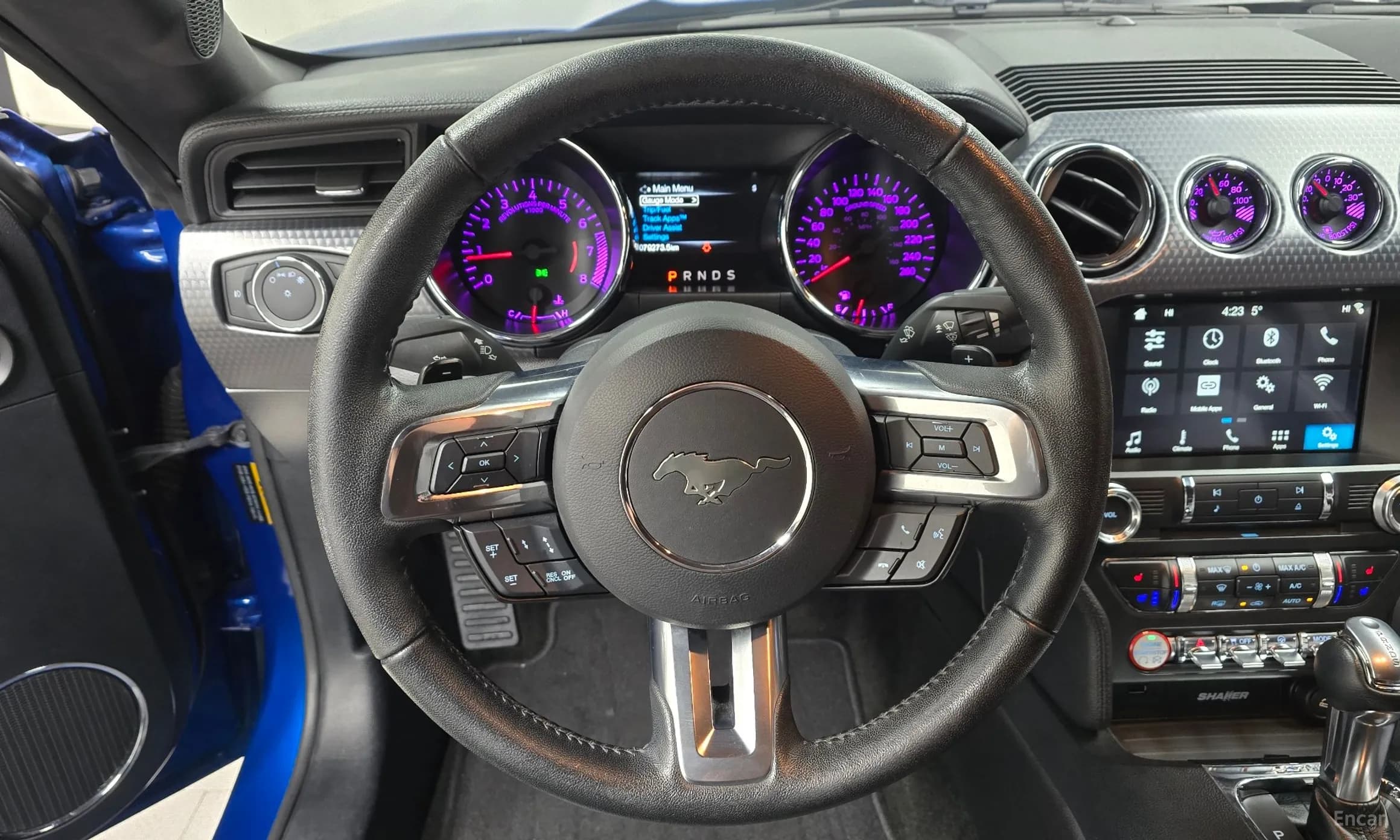Mustang