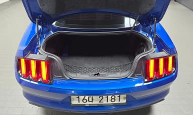 Mustang