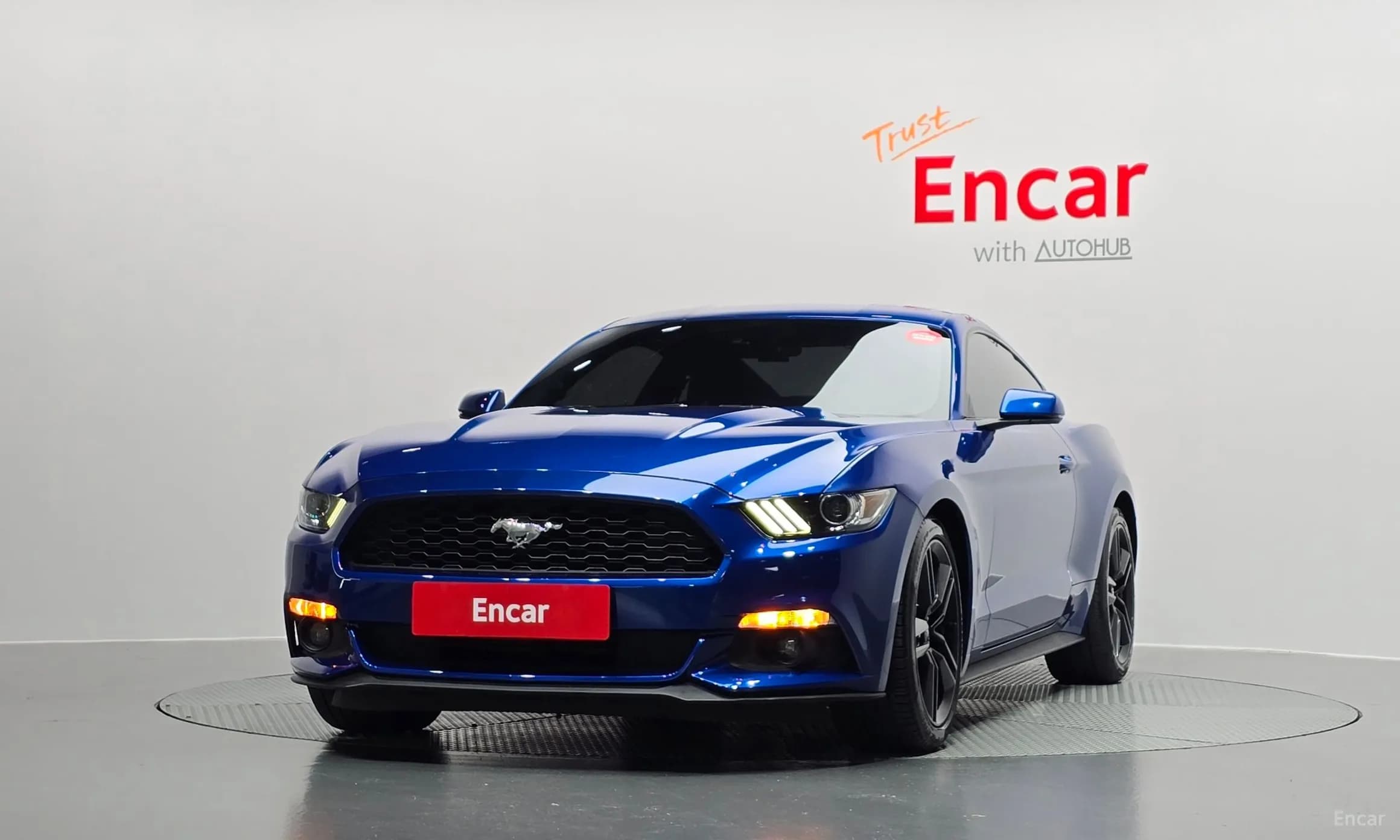 Mustang