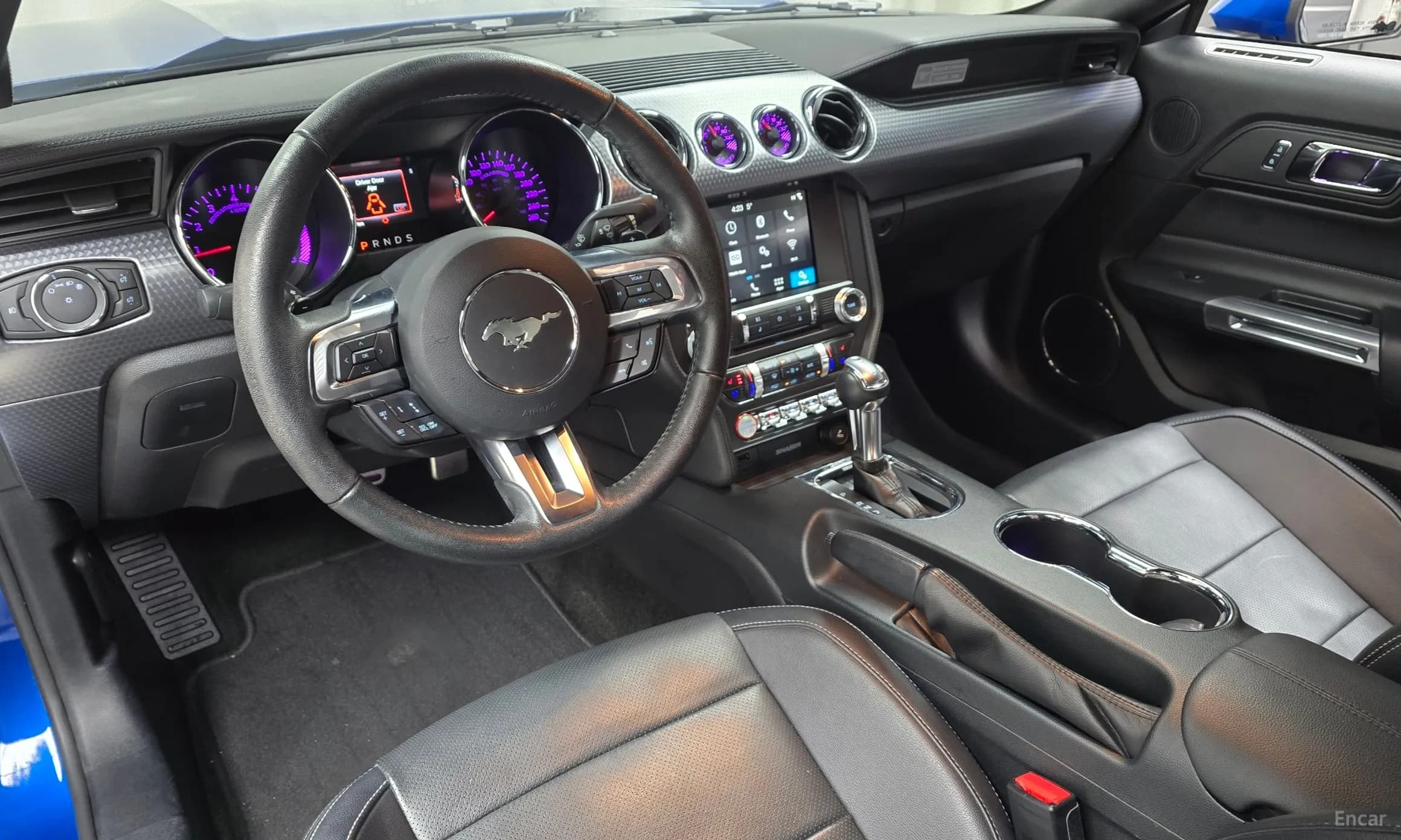Mustang