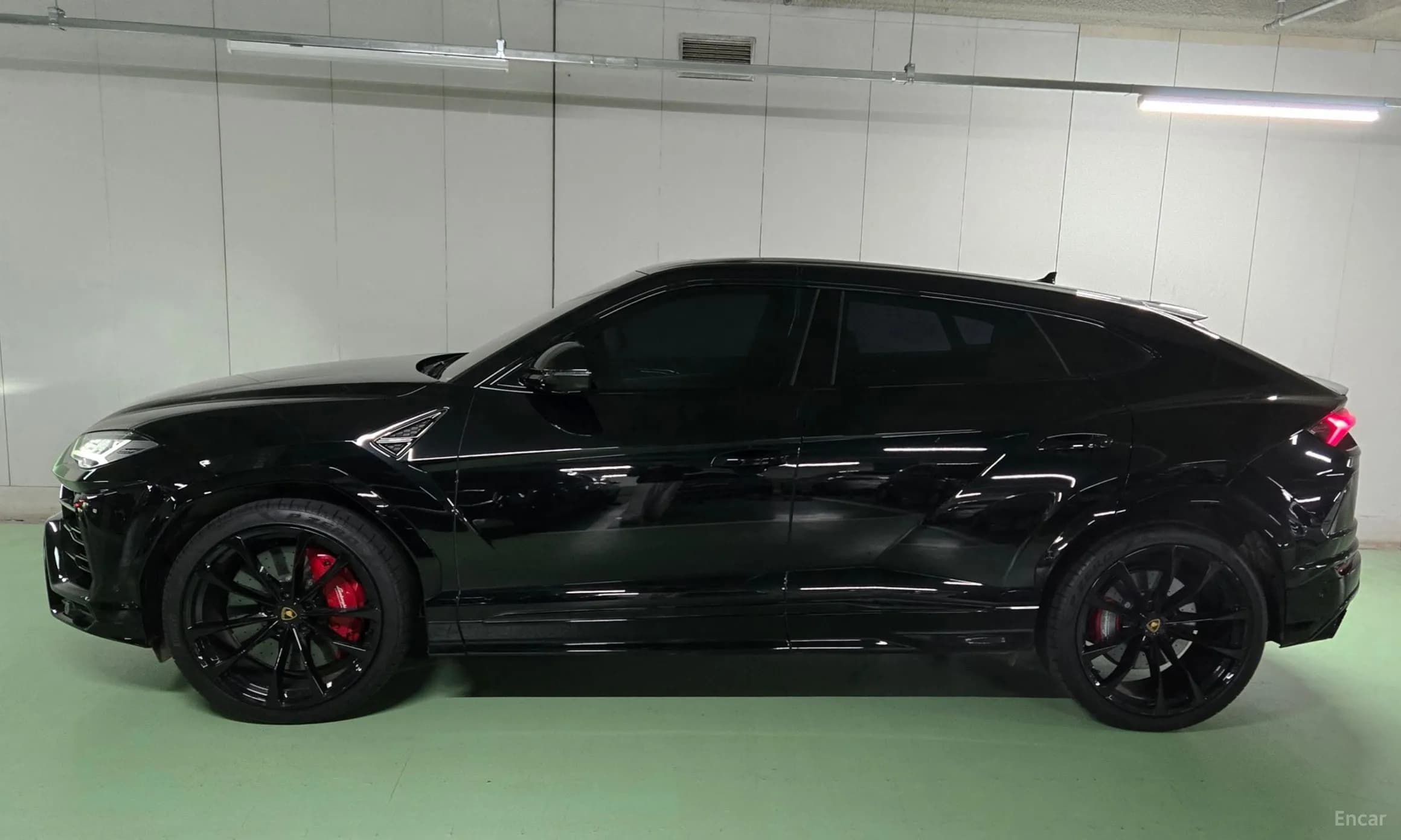 Urus
