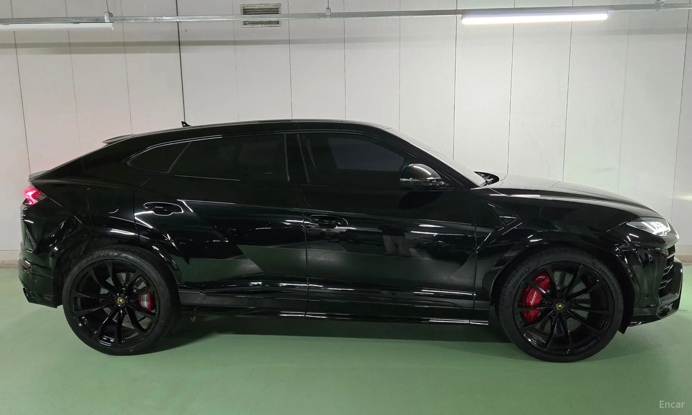 Urus