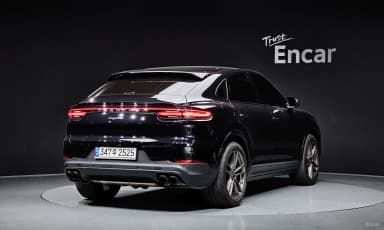 Cayenne (PO536)