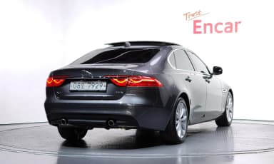 XF (x260)