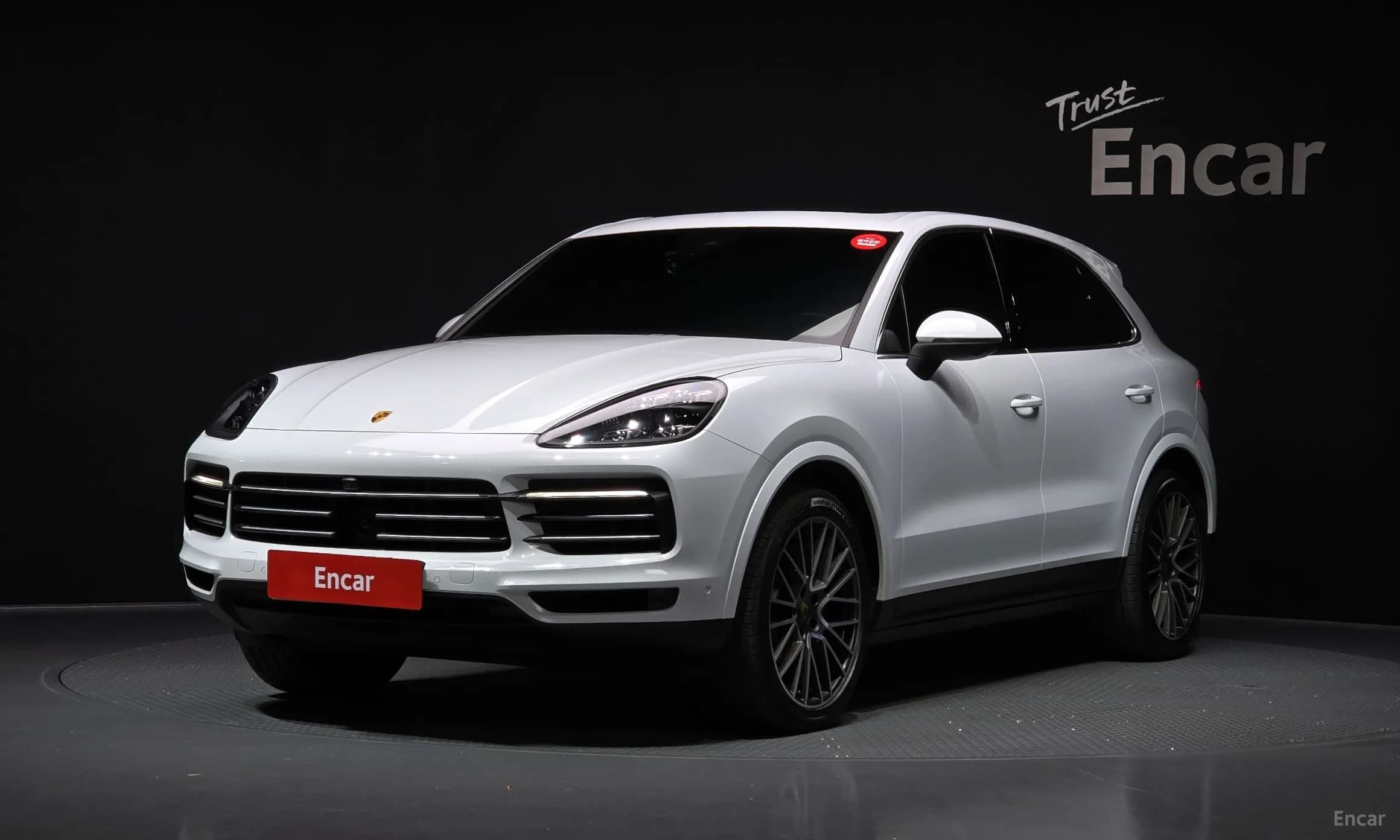 Cayenne (PO536)