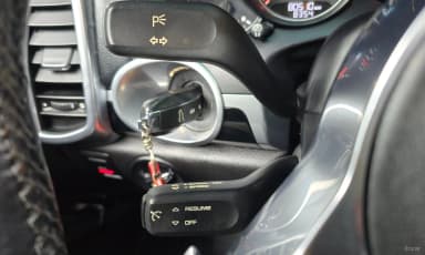 New Cayenne