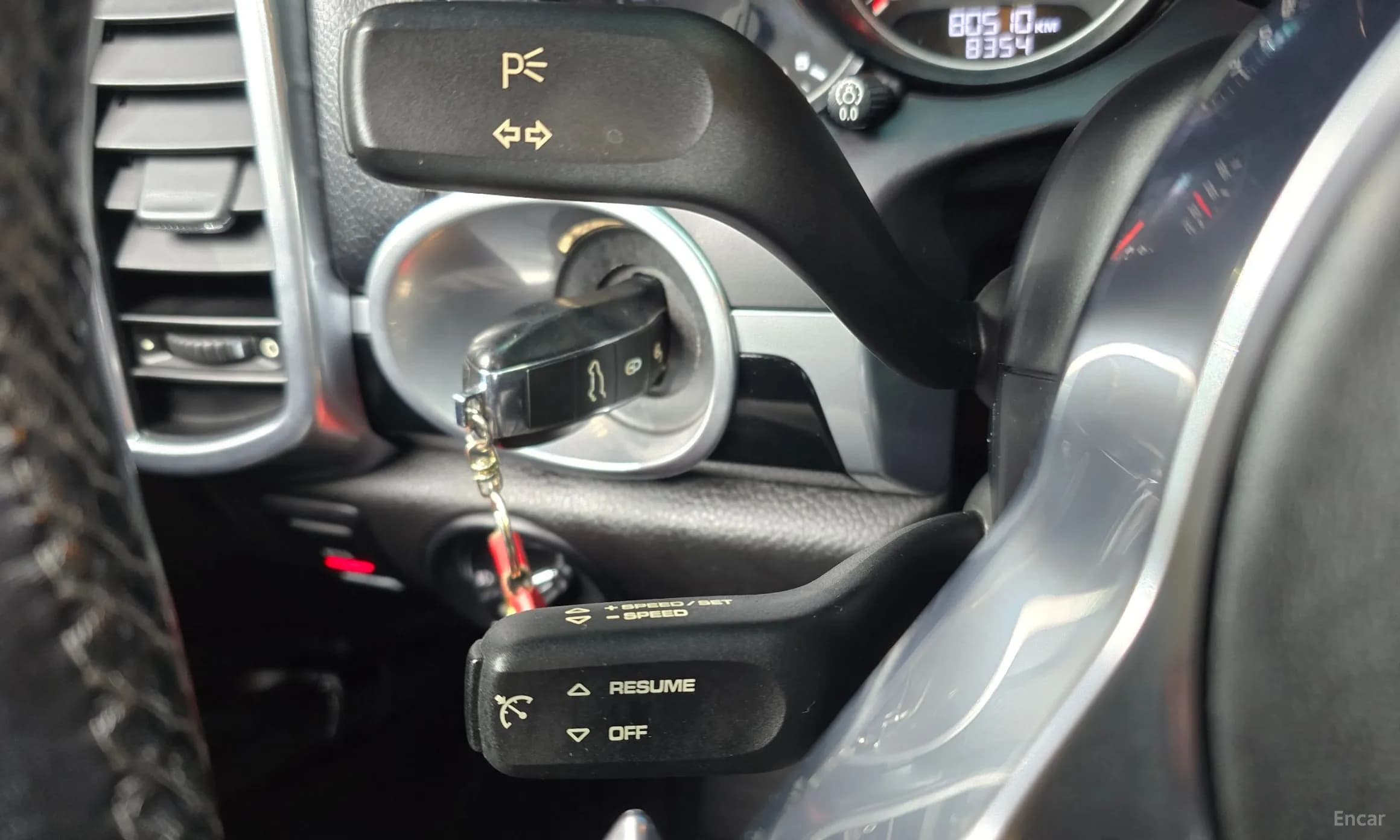 New Cayenne