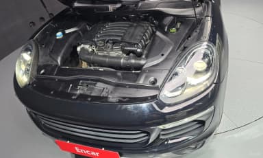 New Cayenne