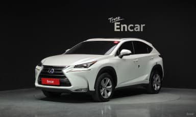 NX300h