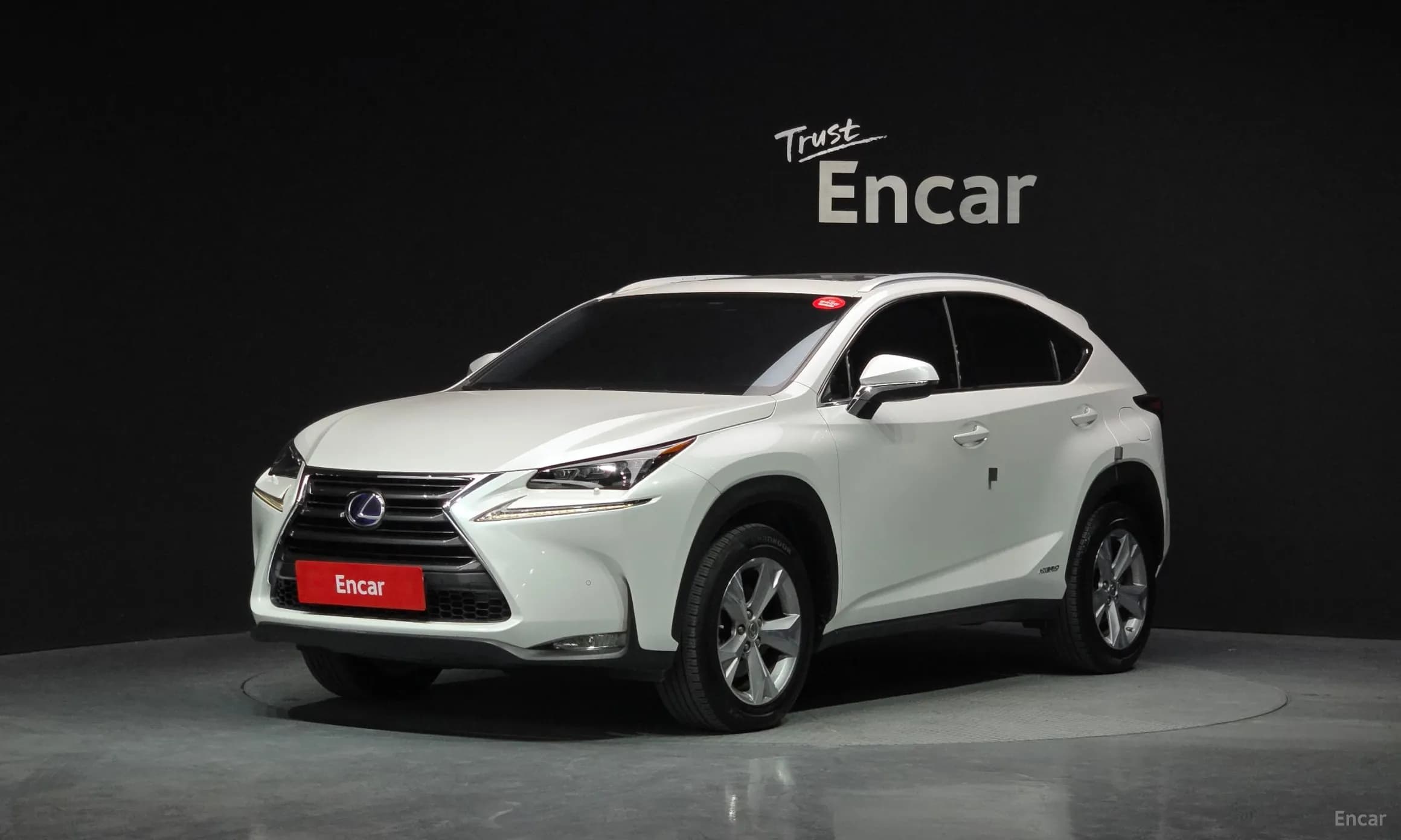 NX300h